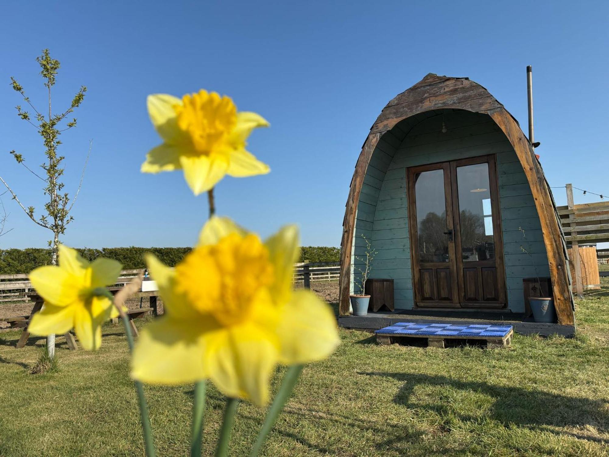 Skipbridge Farm Glamping York Exterior foto